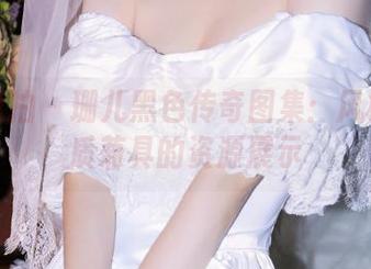 大生模拍 - 珊儿黑色传奇图集：风格与气质兼具的资源展示