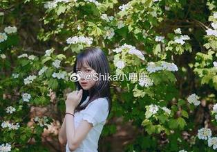 小鹿鹿shika花嫁写真无圣光合集：尽情展现爱与美的结合
