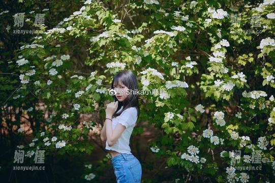 小鹿鹿shika花嫁写真无圣光合集：尽情展现爱与美的结合