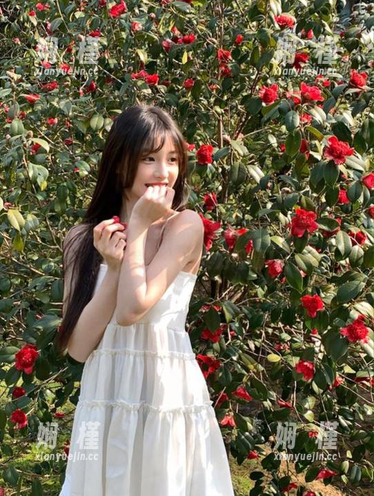 紧急企划 - 小枫全套可爱图包，甜美与俏皮完美结合，实力吸睛！