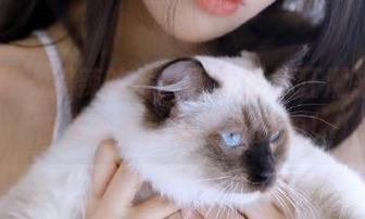 微密圈 - 超辣的林一眼镜图包狂潮来袭，快来获取独家写真资源！