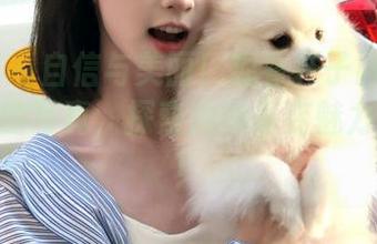微密圈 - 自信与美丽!观看轩子巨2兔今天cos的写真,探索她的多变魅力与风范!